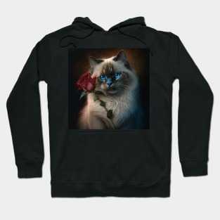 Ragdoll Cat With A Red Rose Hoodie